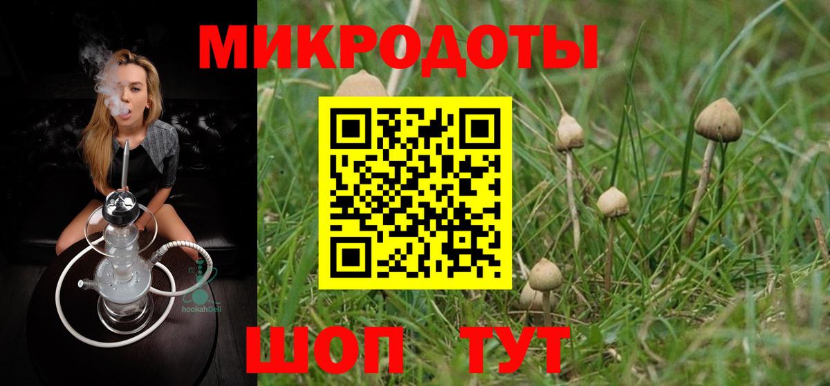 Псилоцибиновые грибы MAGIC MUSHROOMS Кропоткин
