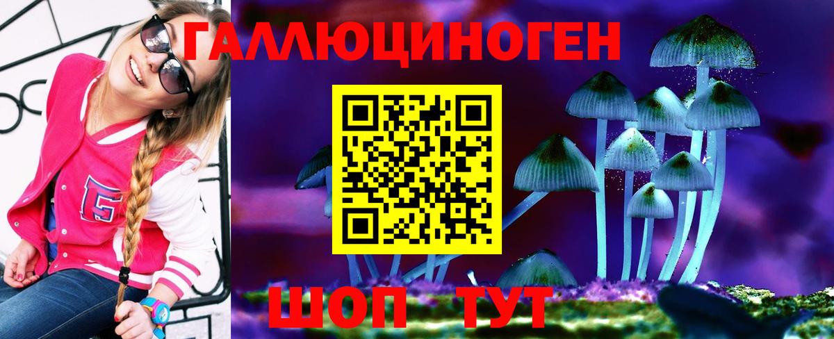 Псилоцибиновые грибы мухоморы  Вход с VPN  Кропоткин  Псилоцибиновые грибы Psilocybine cubensis 